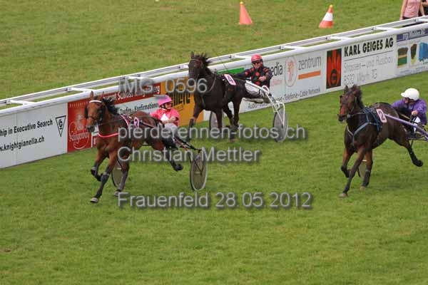 IMG 0596 prot