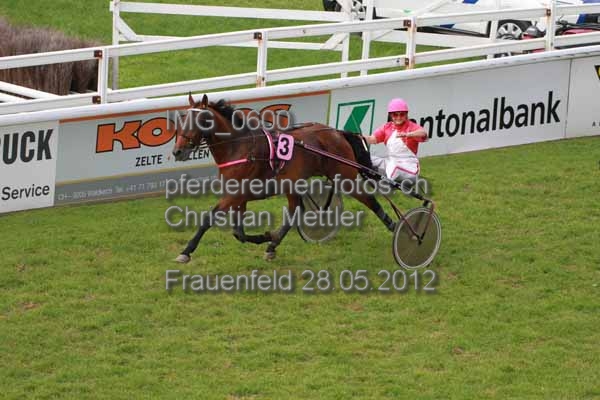 IMG 0600 prot