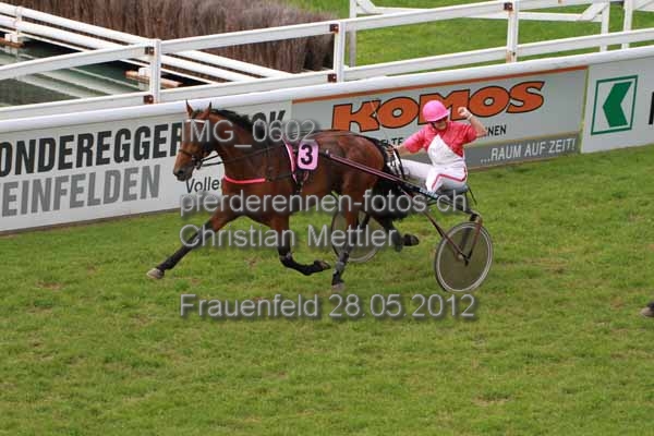 IMG 0602 prot