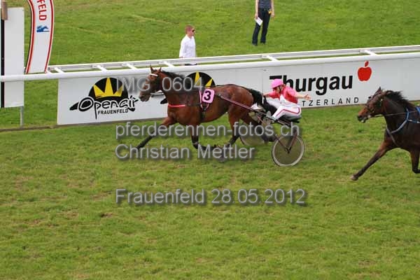 IMG 0604 prot