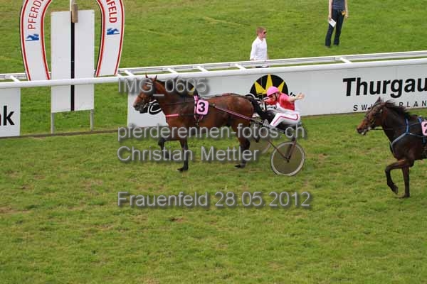 IMG 0605 prot