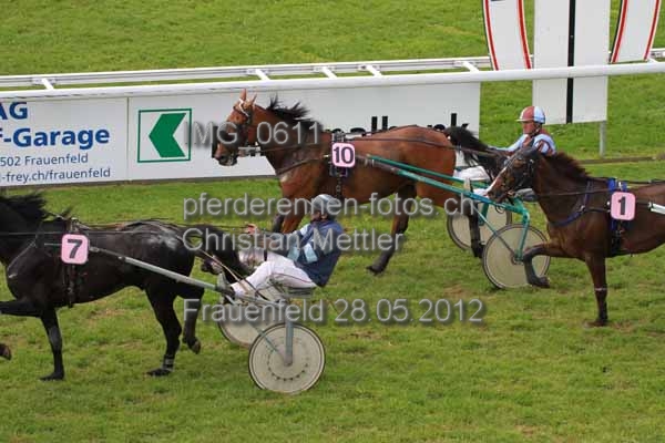 IMG 0611 prot