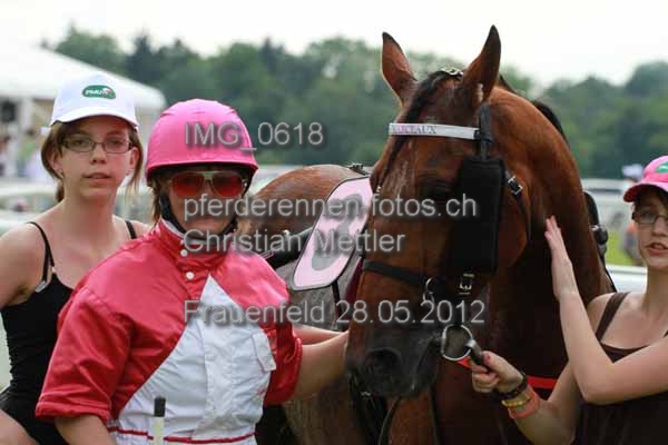 IMG 0618 prot