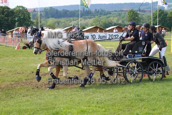 IMG 0632 prot