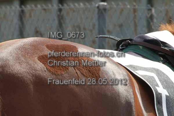 IMG 0673 prot