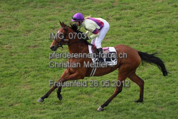 IMG 0703 prot