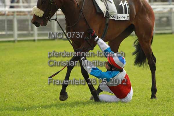 IMG 0737 prot