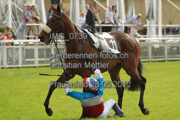 IMG 0739 prot