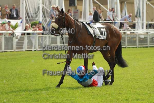 IMG 0740 prot