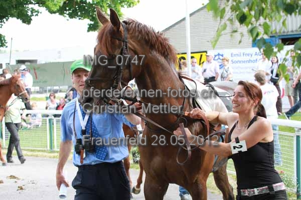 IMG 0747 prot