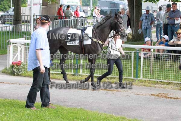 IMG 0815 prot