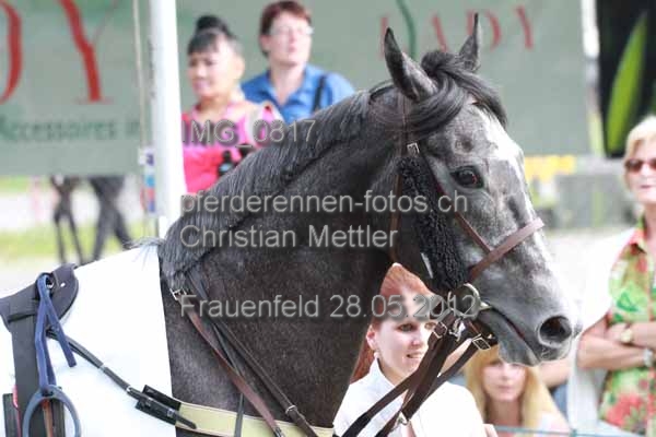 IMG 0817 prot