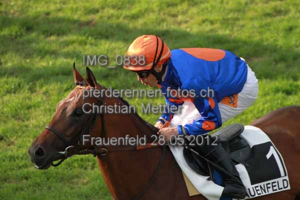 IMG 0838 prot