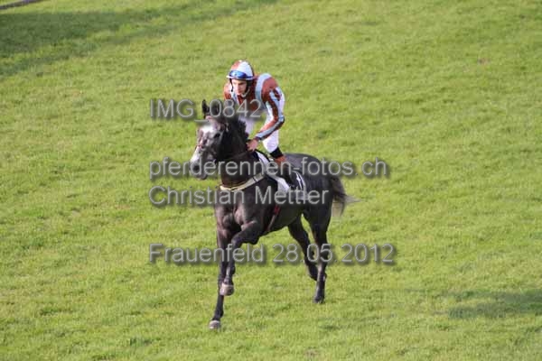 IMG 0842 prot