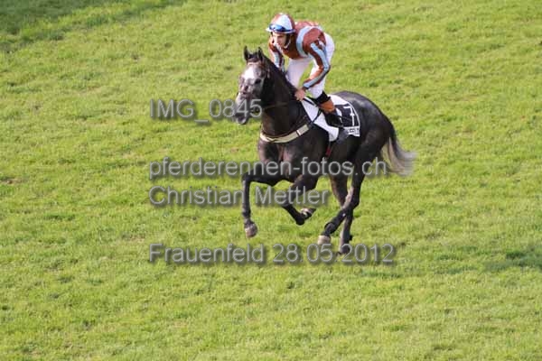 IMG 0845 prot
