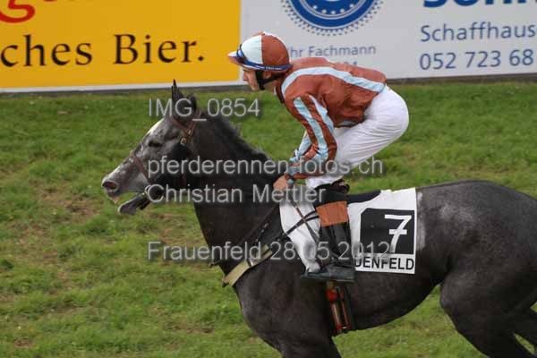 IMG 0854 prot