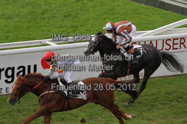 IMG 0863 prot