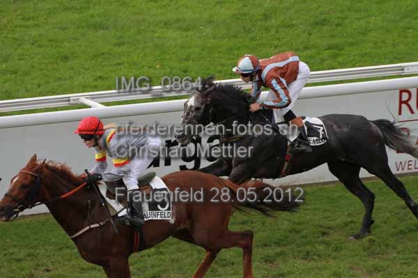 IMG 0864 prot