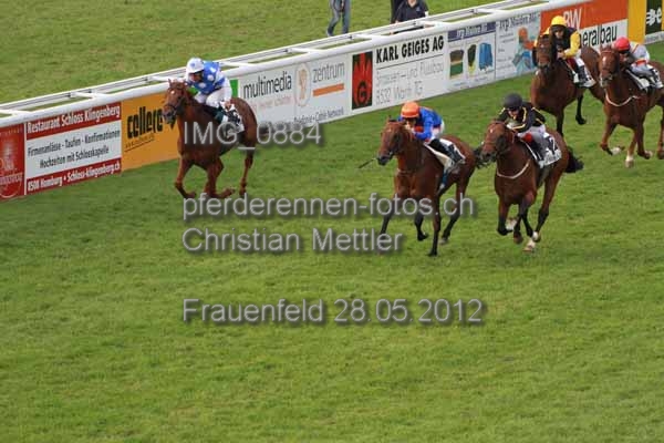 IMG 0884 prot
