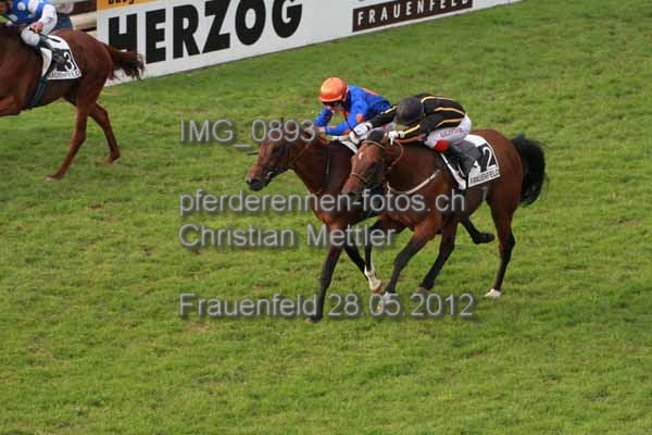 IMG 0893 prot