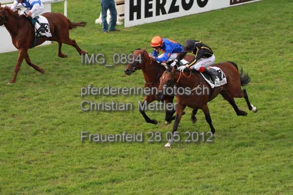 IMG 0894 prot