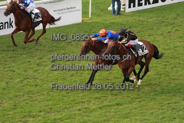 IMG 0895 prot