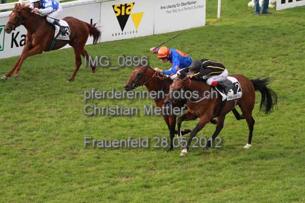 IMG 0896 prot