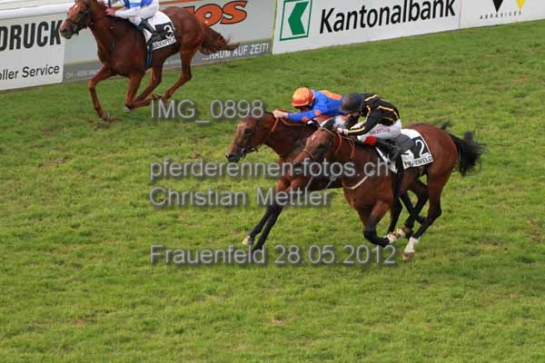 IMG 0898 prot