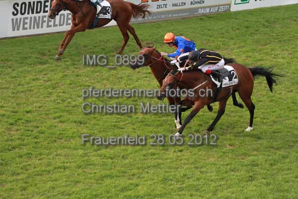 IMG 0899 prot