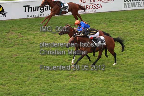 IMG 0902 prot