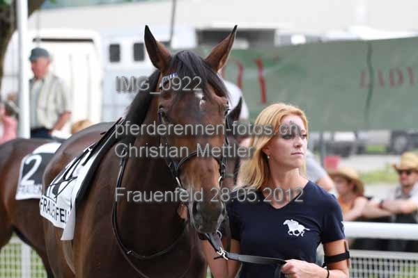 IMG 0922 prot