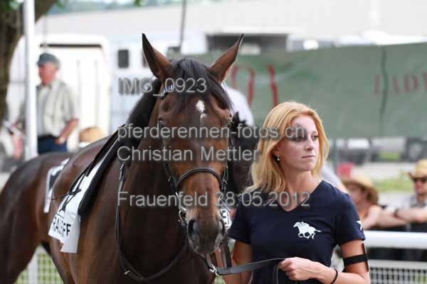 IMG 0923 prot