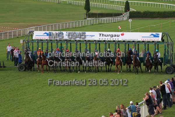IMG 0945 prot