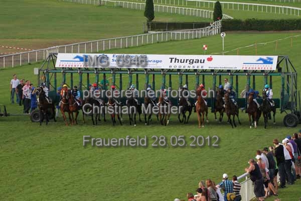 IMG 0946 prot