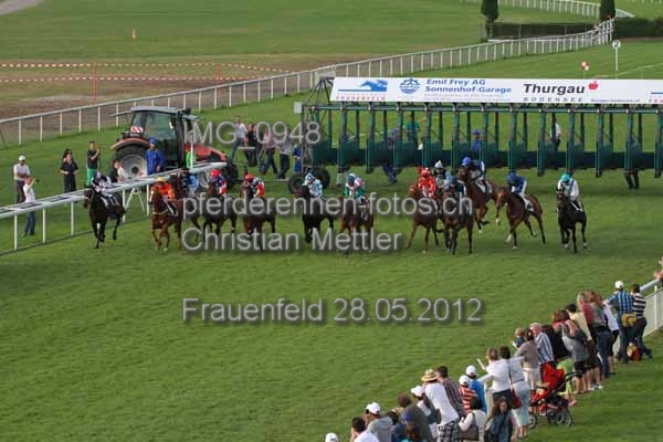 IMG 0948 prot