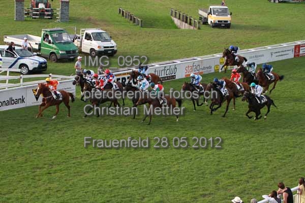 IMG 0952 prot
