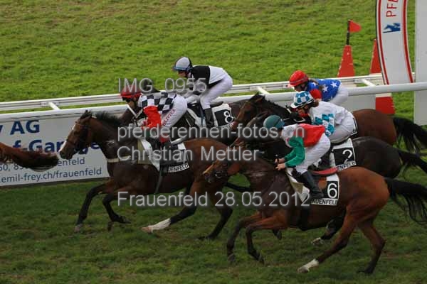 IMG 0955 prot