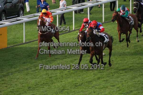 IMG 0964 prot