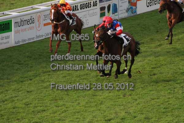 IMG 0965 prot