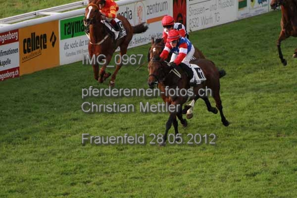 IMG 0967 prot