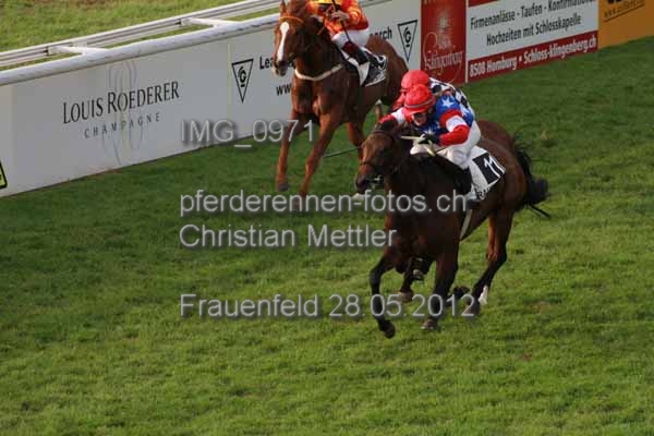 IMG 0971 prot