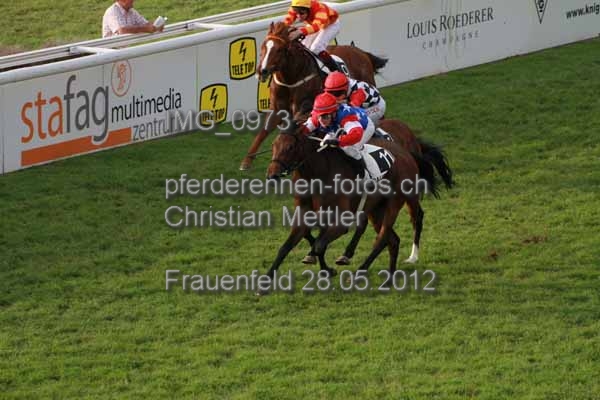 IMG 0973 prot