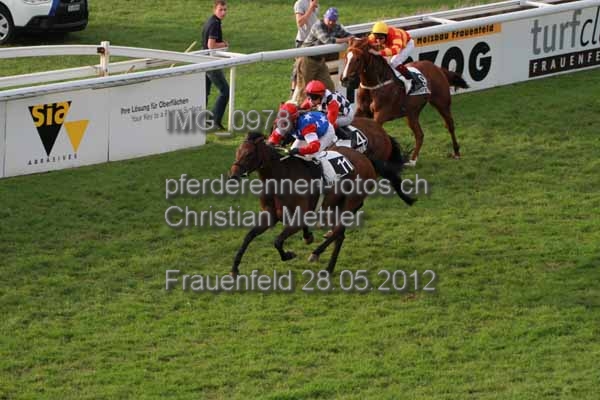 IMG 0978 prot