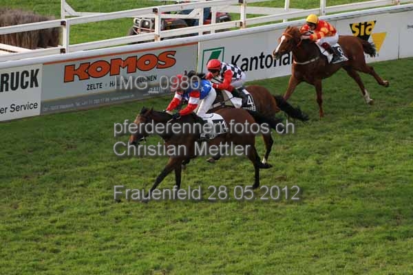 IMG 0980 prot