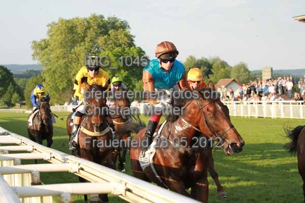 IMG 1045 prot
