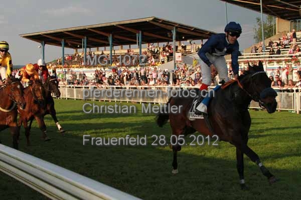 IMG 1072 prot