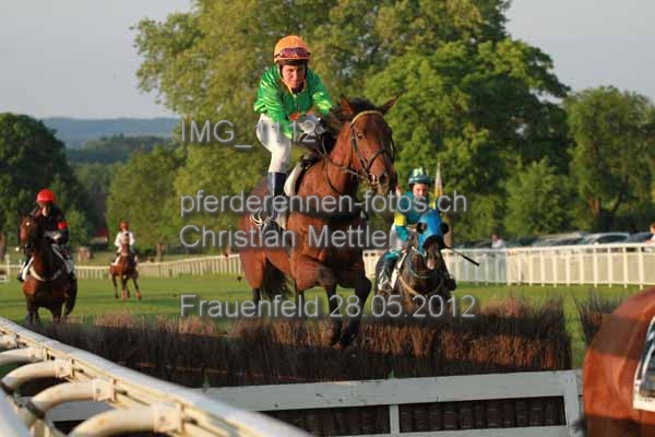 IMG 1112 prot