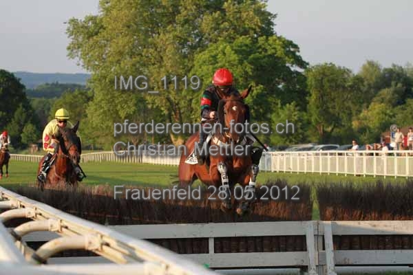 IMG 1119 prot