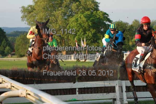 IMG 1142 prot