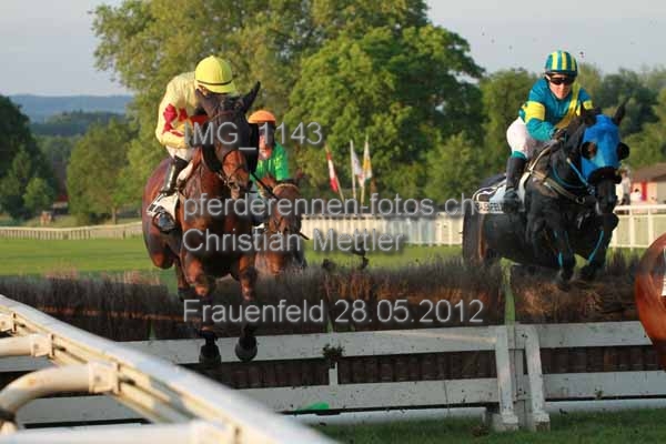IMG 1143 prot